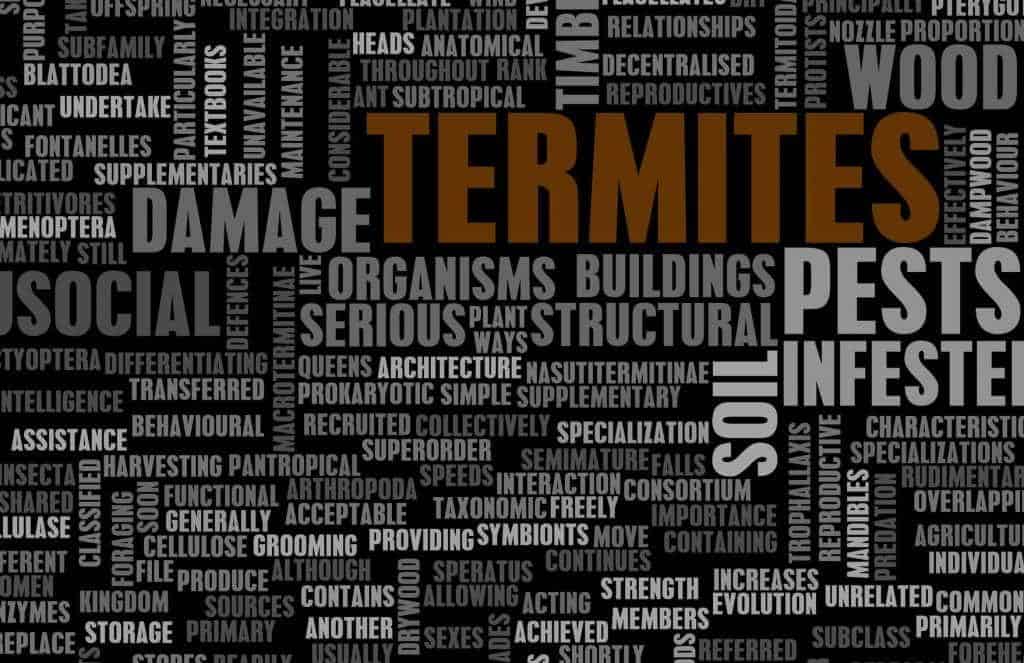 Pest Control Frisco TX