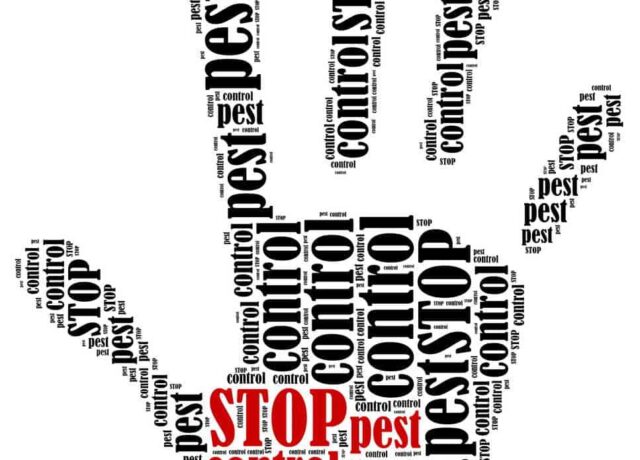 Pest Control Frisco TX