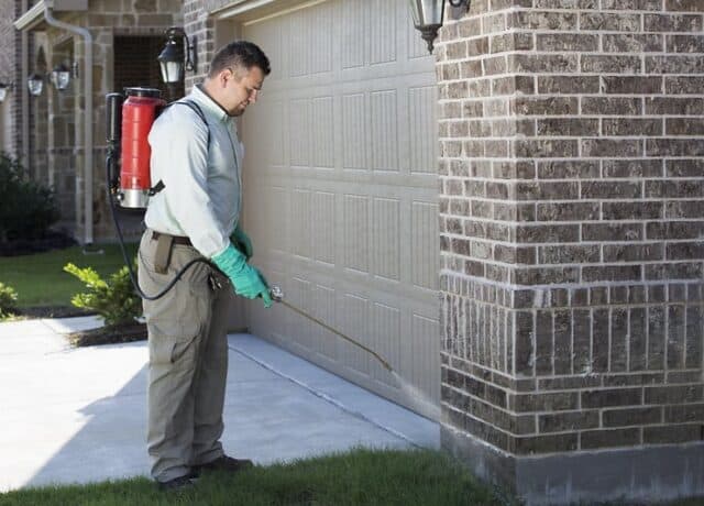 termite pest control