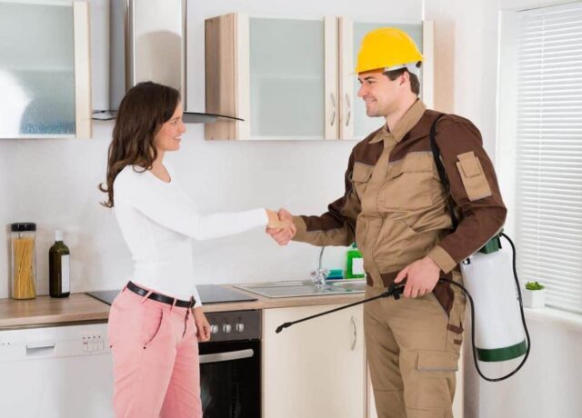 Termite Pest Control Frisco TX