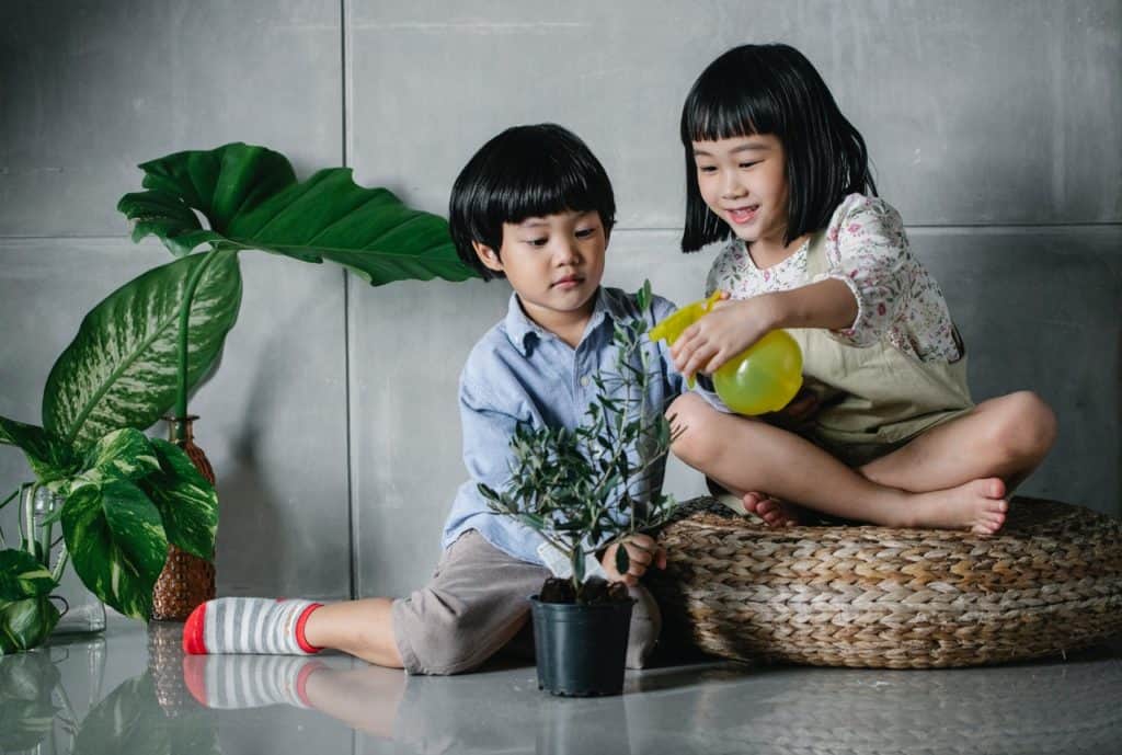 kids spray on plant