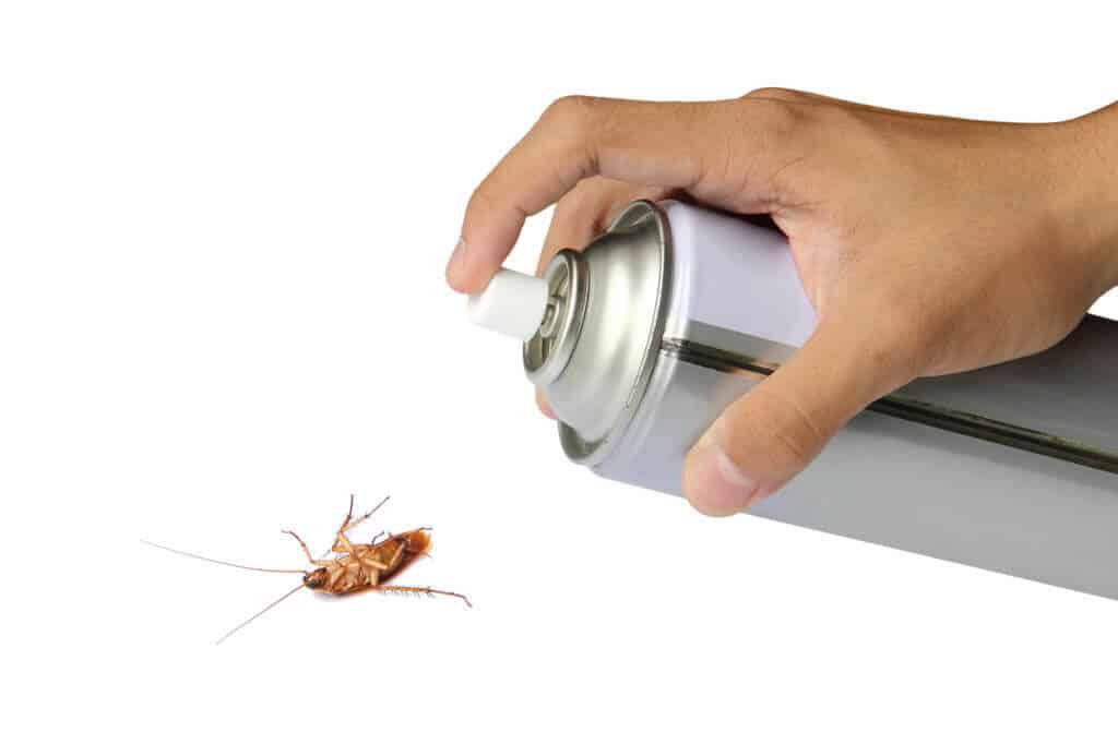 Frisco TX Exterminator