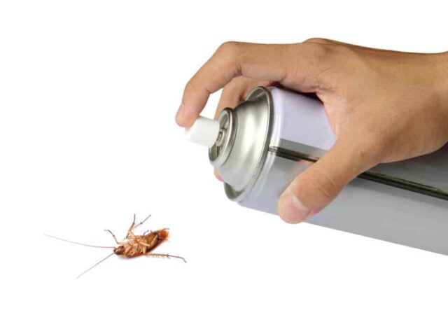 Frisco TX Exterminator
