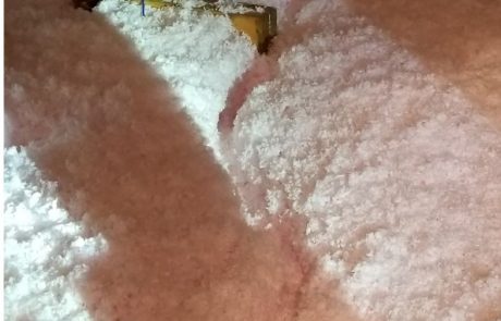 Tunneling in the insulation, similar to snow trails, is a sign of rat presence.