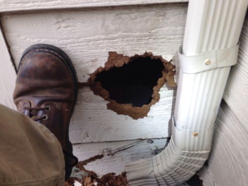 Hole-in-heavy-duty-Hardie-board