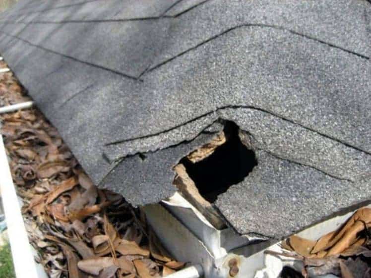 House damage