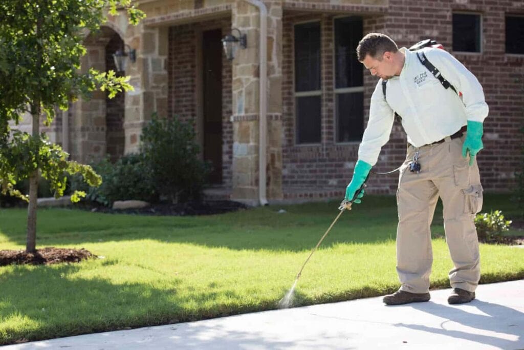 Exterminator