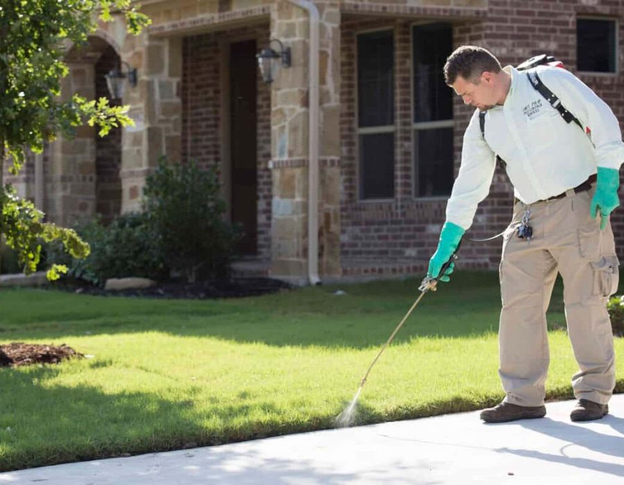 Exterminator Spraying Pesticide In Kitchen Exterminator